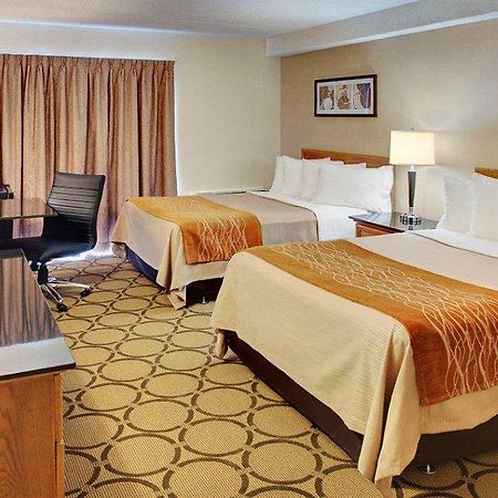Comfort Inn Edmundston Extérieur photo