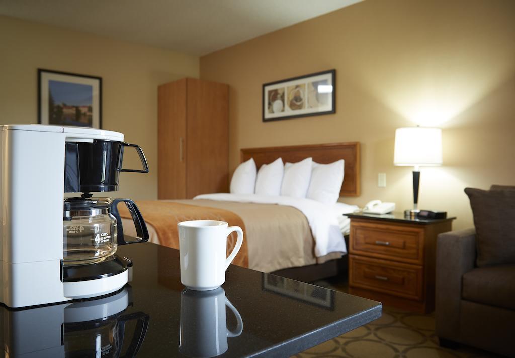 Comfort Inn Edmundston Extérieur photo