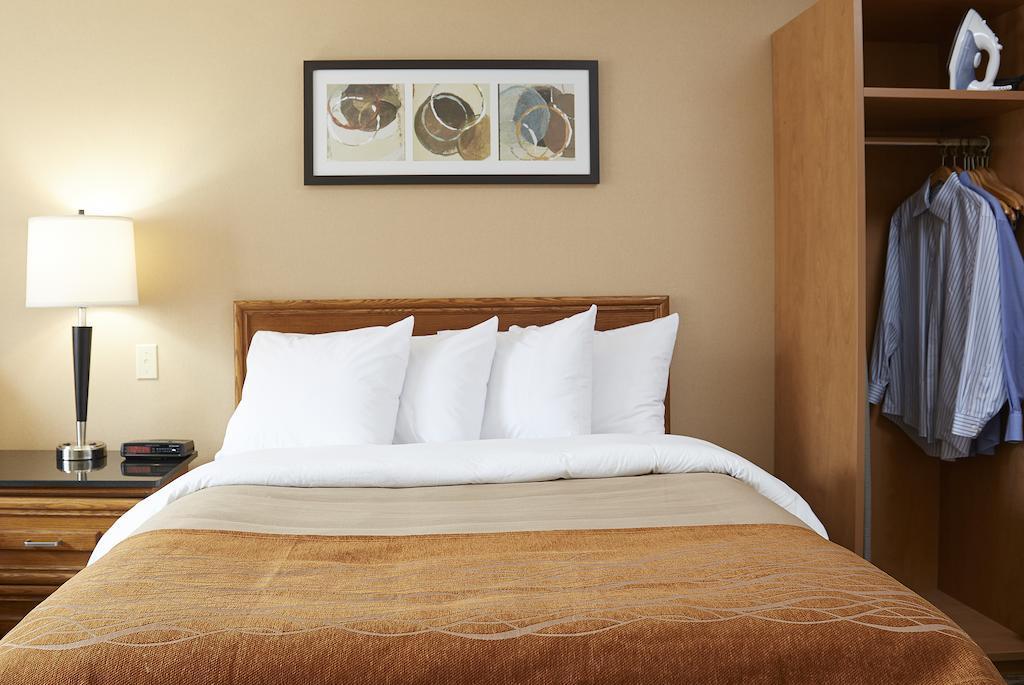 Comfort Inn Edmundston Extérieur photo